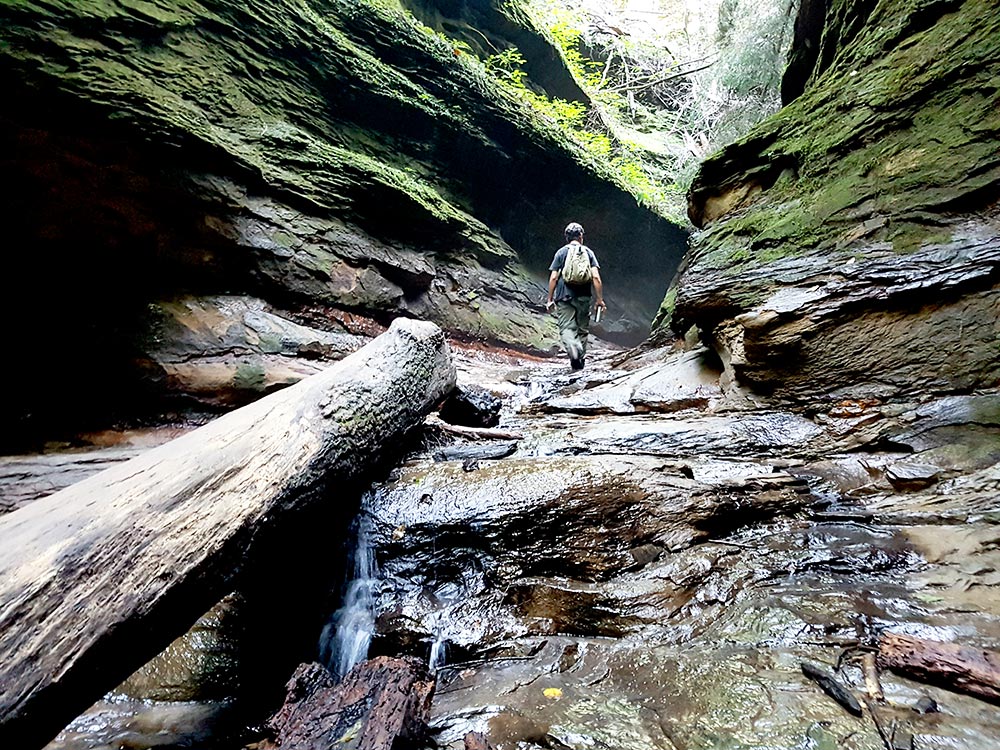 Hiking Trails at Turkey Run State Park