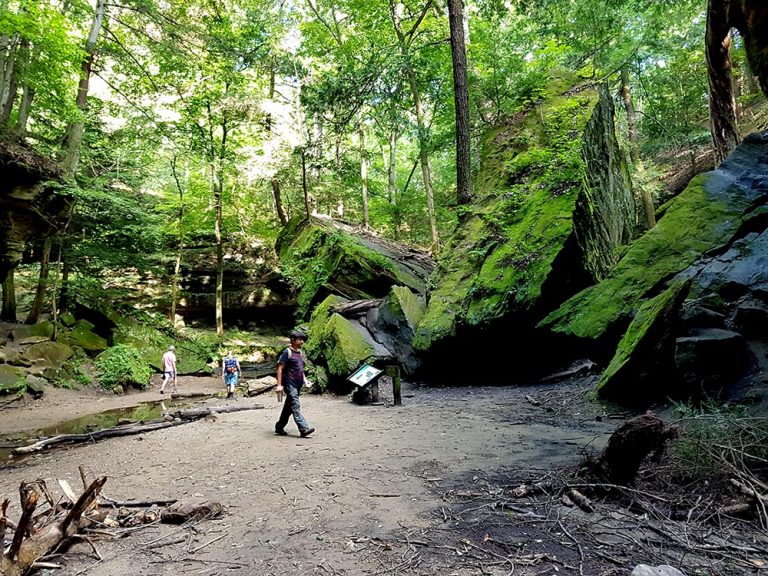 Hiking Trail at Turkey Run State Park