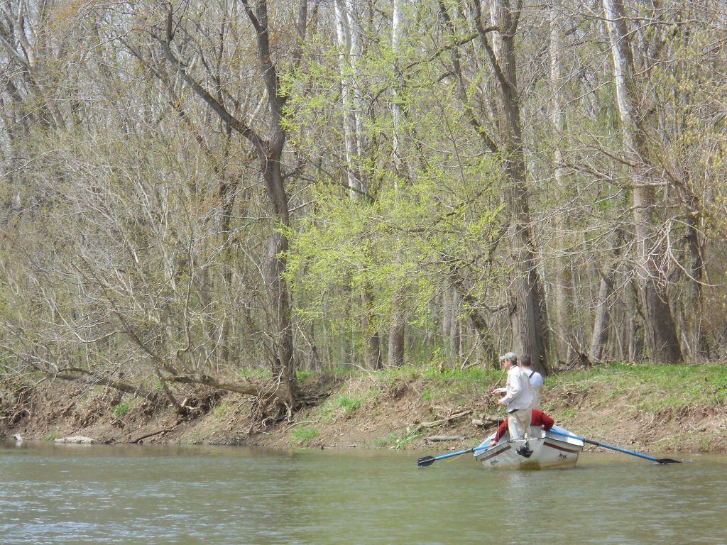 Fishing on Sugar Creek
