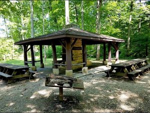 Fireplace Shelter Picnic Area at Turkey Run State Park