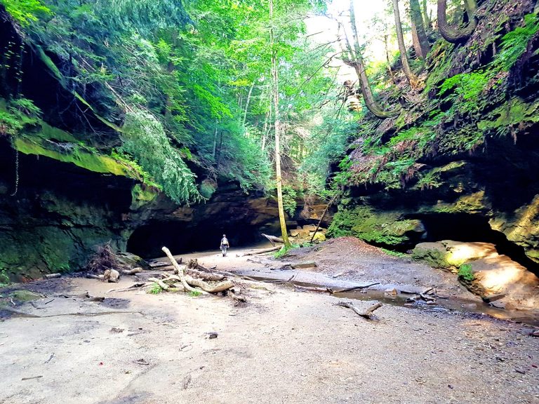 Hiking Trail at Turkey Run State Park