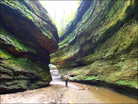 Turkey Run Hollow at Turkey Run State Park