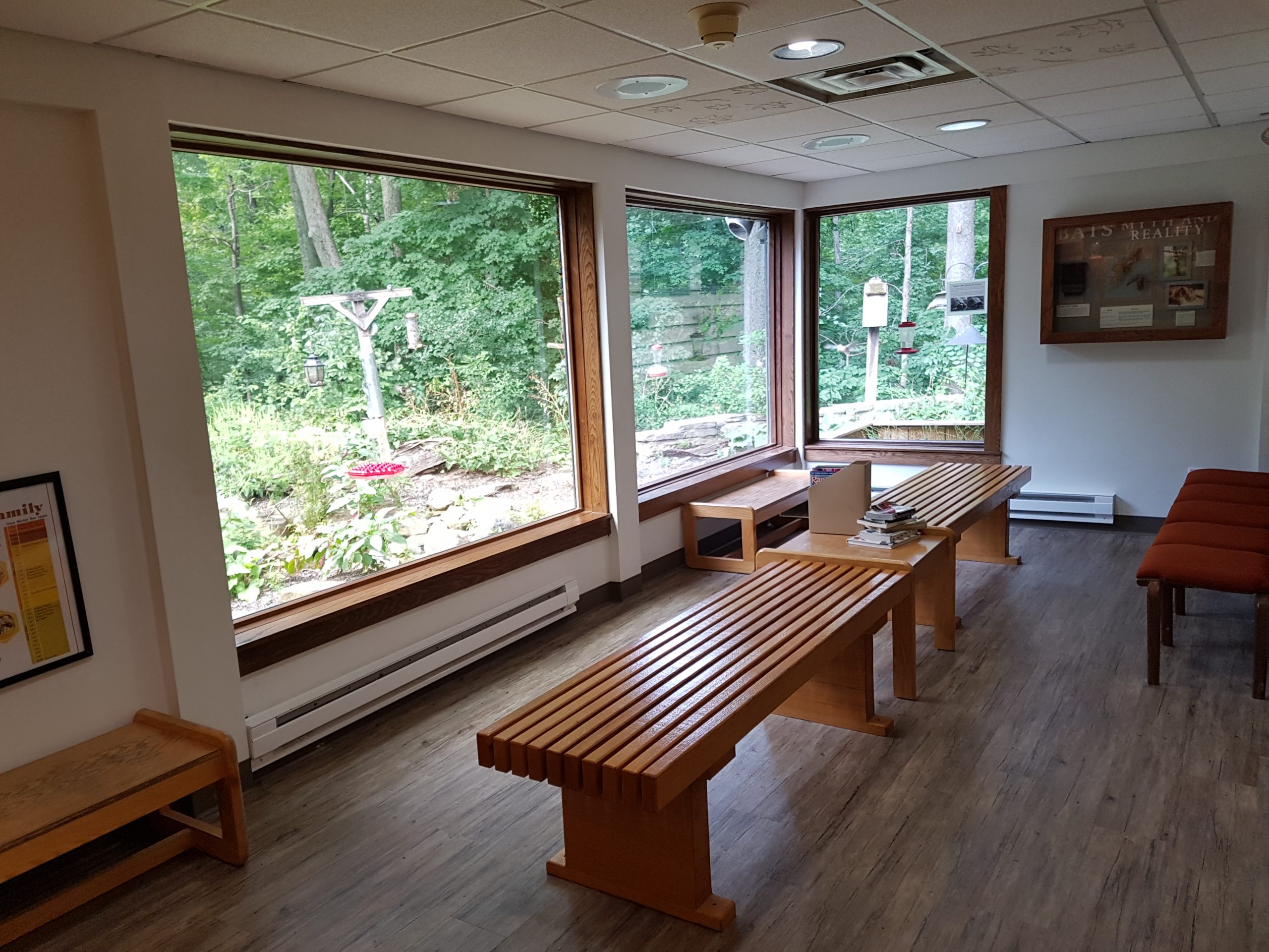 Turkey Run State Park Nature Center wildlife watching room