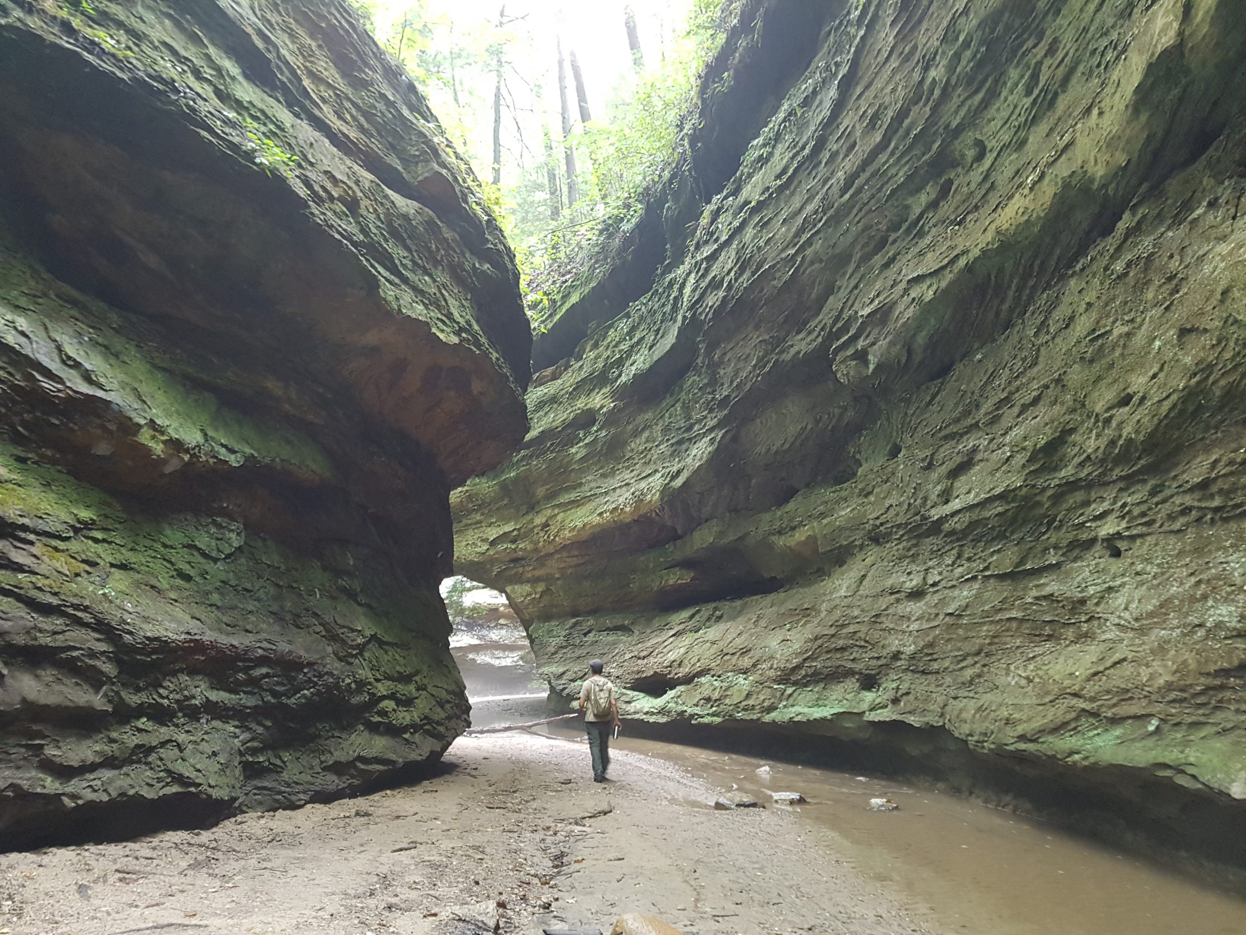 Canyon at Turkey Run State Park