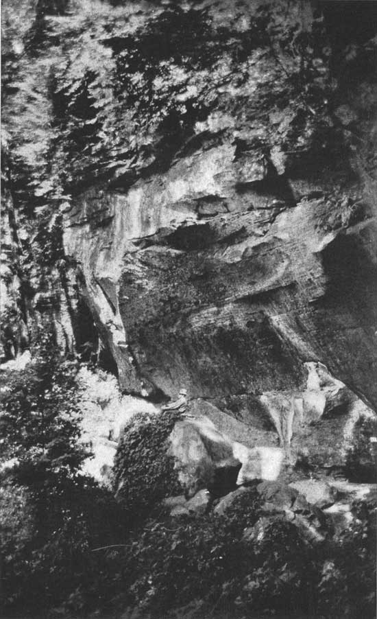 historic photo of Turkey Run State Park