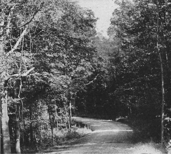 historic photo of Turkey Run State Park