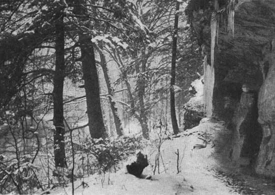 historic photo of Turkey Run State Park