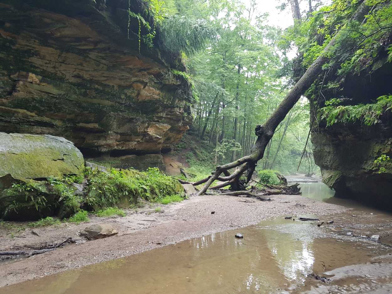 history of turkey run state park