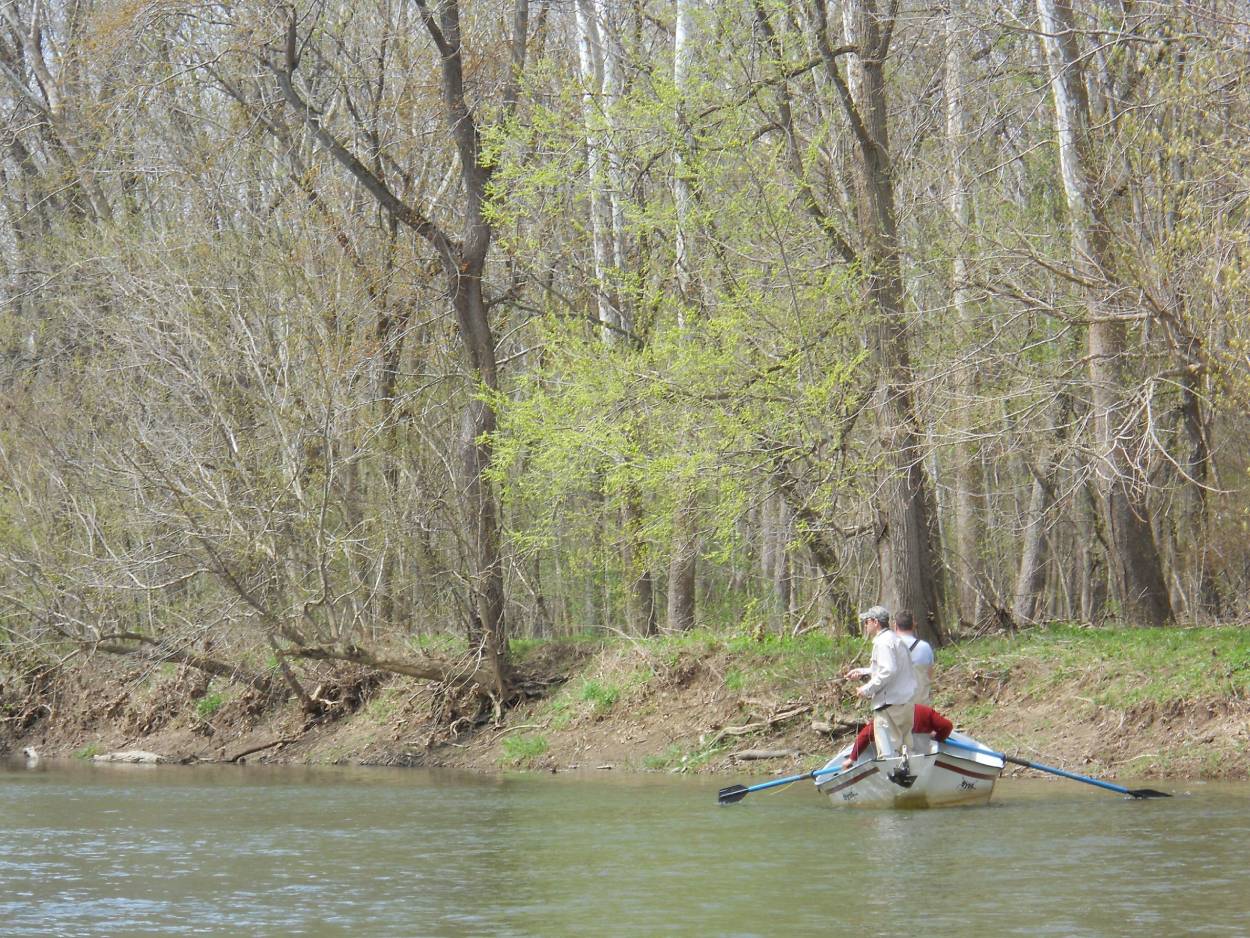 turkey run state park fishing image