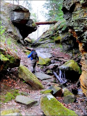 Falls Canyon at Turkey Run State Park