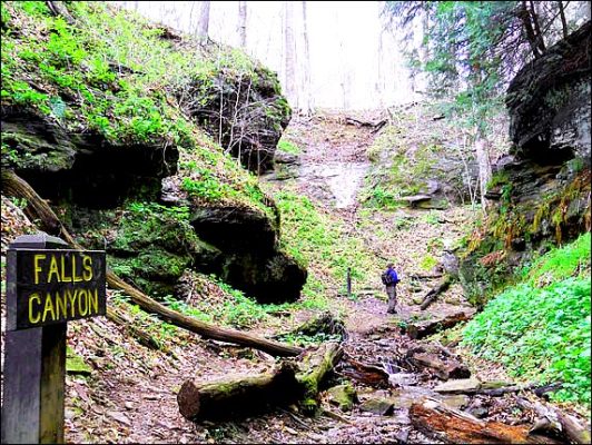 Falls Canyon at Turkey Run State Park