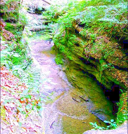 Punch Bowl at Turkey Run State Park