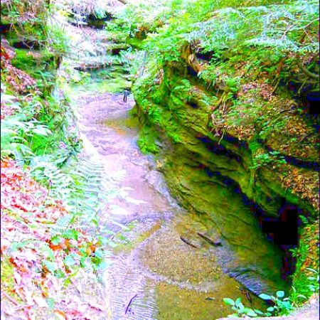 Punch Bowl at Turkey Run State Park