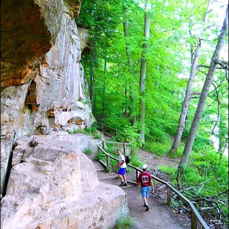 Trail 5 at Turkey Run State Park